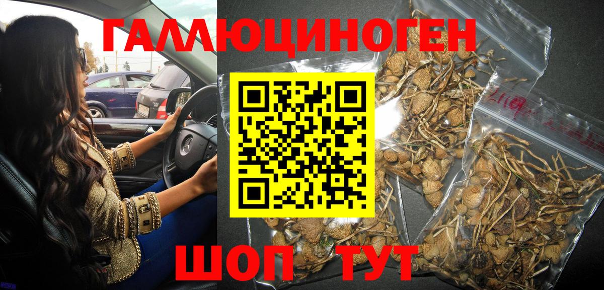 Галлюциногенные грибы GOLDEN TEACHER Видное