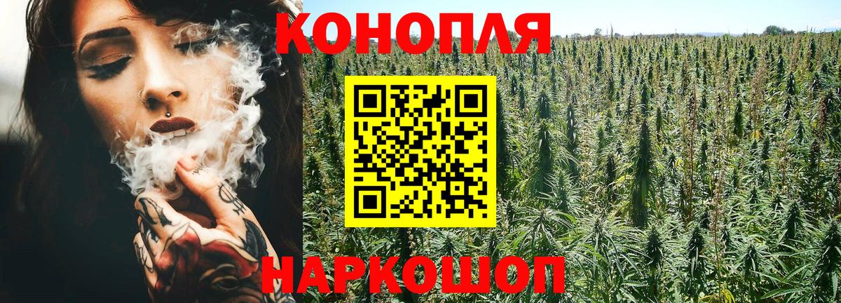Конопля индика  МАРИХУАНА планчик  Бошки марихуана семена  Вход с VPN  Видное 